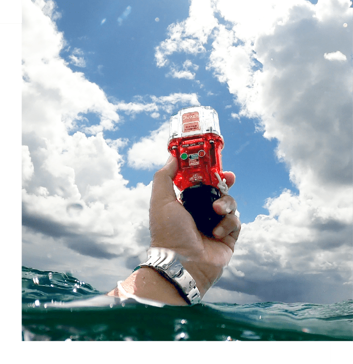 海面0mでのダイバーの画像